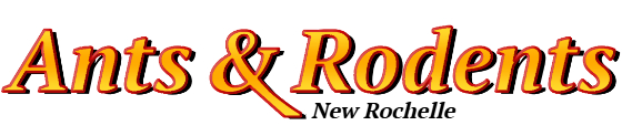 New Rochelle Ant Exterminator & Rodent Control Company Logo